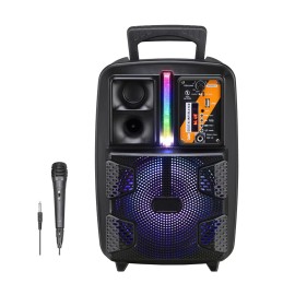Reiko 8" Speaker with Charger Line and Wired Mic (PK-16)