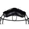 Champro Catcher's Mask (Black, 27-Ounce/Adult)
