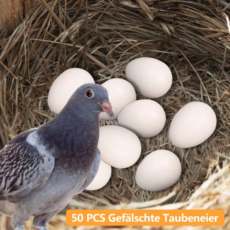 aleawol Pack of 50 Fake Pigeon Eggs, Solid Plastic Pigeon