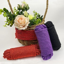 Christmas x-mas Rope Twine Silk Touch Polyester Nylon Twisted Braided for Crafts, Cargo, Tie-Downs, Marine, Camping, Swings (10 Meter Each) (Red Red)