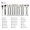 DUcare Juego de Brochas Maquillaje 31 Piezas Profesional Completo Edición