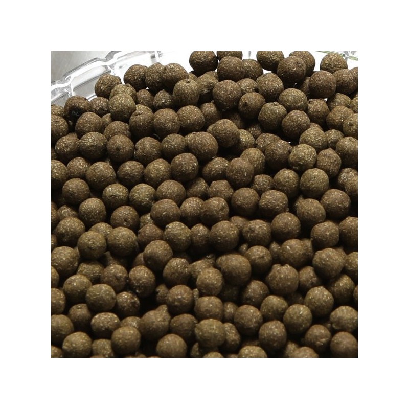 구절초환 250g / 국내산 구절초 로 만든 건강 환 Chrysanthemum