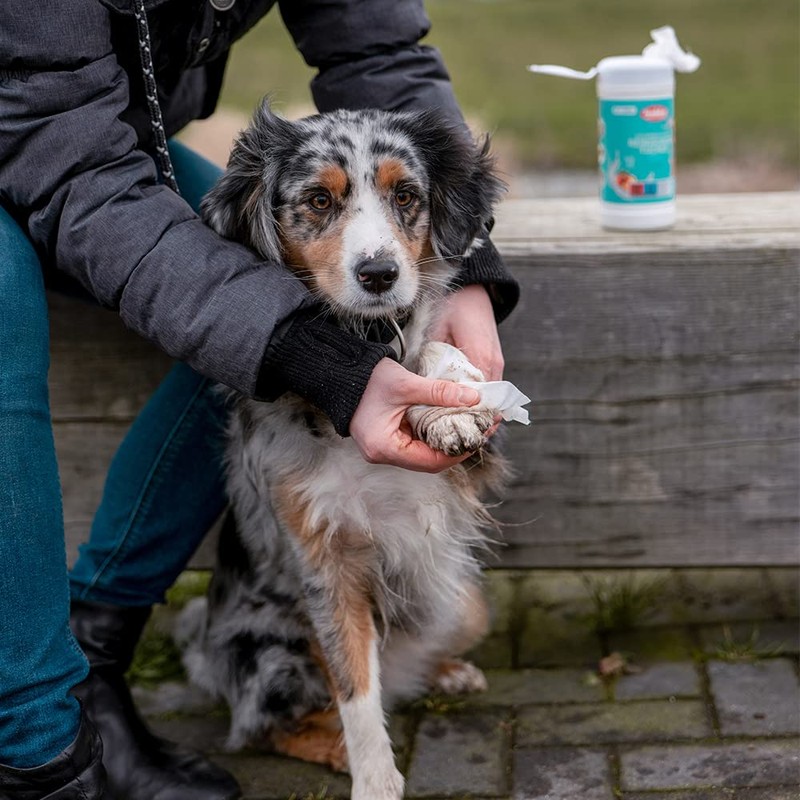 Nobby Universal Cleaning Cloth Dispenser Box Pack of 50