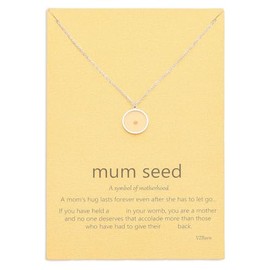 VZBarn Miscarriage Gifts for Mothers Dainty Circle Pendant Necklace Silver