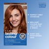 Clairol Lasting Colour Permanent Hair Dye | Perfect Grey Coverage