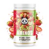 Panda Supps AMINOS - BCAA + EAA & Electrolytes:_Pink Lemonade
