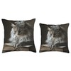 Domestic Longhair Cat Reading Book Throw Pillow