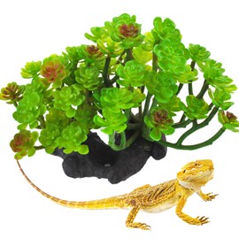 kathson Reptile Plant Succulent,Artificial Plants Aquarium &Terrarium Accessories for Bearded Dragon Crested Leopard Gecko Lizard Chameleon Tortoise Betta Fish Hermit Crab