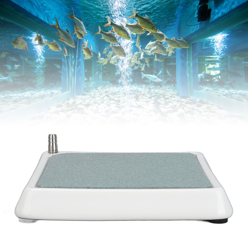 Aquarium Air Stone Disc High Dissolved Oxygen Fine Bubbles Fish