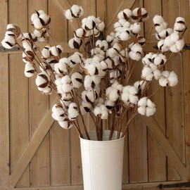 idyllic Cotton Stems Decor Branches, Cotton Flowers Plants for Decorations, Dried Flowers for Vase, Pack of 6-31 Inches Tall - 12 Bolls per Stem