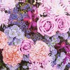 20 Napkins Flowers in Pink and Lilac | Roses |