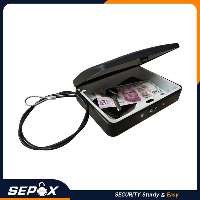 SEPOX® 2Pcs Water/Fire-Resistant Portable Security Case Lock Box Steel, Personal