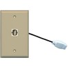 RiteAV (1 Gang Flat USB Wall Plate w/Female Pigtail Extension