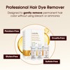 One 'n Only Colorfix Hair Color Remover Kit - Professional