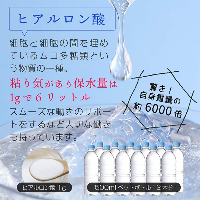 nichie 低分子 ヒアルロン酸 パウダー 高純度 原末サプリ 10g