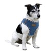 Aiminto Denim Dog Harness & Leash Set, Breathable Mesh, Lightweight,