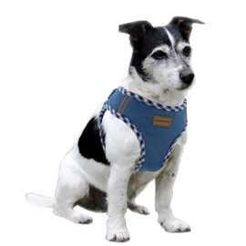 Aiminto Denim Dog Harness & Leash Set, Breathable Mesh, Lightweight, Reflective Harness Chest - For Small Dogs (Harness(Baby-Blue), S Torso Range 14.2-16.5 inches (36-42 cm)