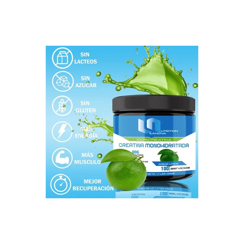 Suplemento Creatina Monohidratada Leanova 500 G 100serv
