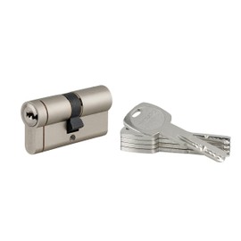 THIRARD - 30 x 30 mm Nickel Plated Cylinder - Transit 1 - Dimensions: 30 x 30 cm - Profile Cylinder - Transit - European Profile Brass 6 Pin Mechanism