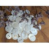 BOTIBOTON 50pcs Mother of Pearl Buttons, White Buttons for Sewing,