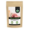 Garlic powder (500g, 1.1lb), ground garlic, 100% natural from gently