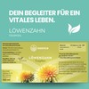 Löwenzahn Tropfen - 100ml - Bitterstoffe - Mit Löwenzahnwurzel -