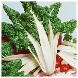 Everwilde Farms - 100 Organic Fordhook Giant Swiss Chard Seeds - Gold Vault Packet