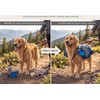 Pet Outdoor Backpack Large Dog Reflective Adjustable Saddle Bag Harness