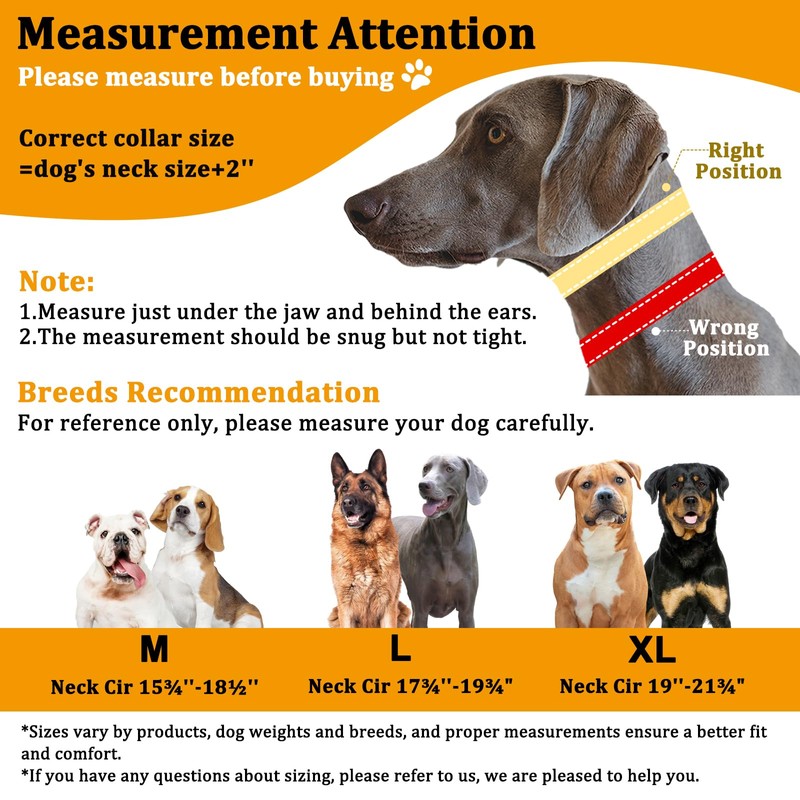 Mayerzon Martingale Dog Collar No Pull for Large Medium Dogs,