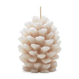 tag Frosted Pine Cone Candle Ivory White