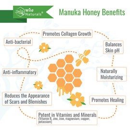 Wild Naturals Sulfate Free Shampoo : Conditioner Set, With Manuka Honey + Aloe Vera, For Hair Loss, Thinning Hair and Itchy Dry Scalp. Anti Dandruff, Moisturizing, 98% Natural, 80% Organic Plant-Based