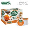 Green Mountain Coffee Roasters Seasonal Selections Pumpkin Spice 12 Count