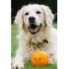 Petface Latex Orange Soft Chew Dog Toy, Large