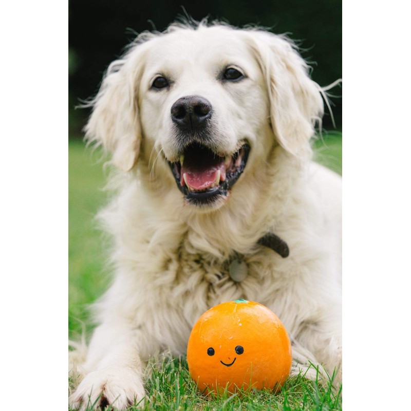 Petface Latex Orange Soft Chew Dog Toy, Large