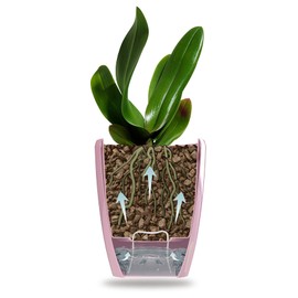 DECOPOTS - Self Watering Orchids Pots Set of 3 - Wicking Planter for Flowers - Water Level Indicator (Set of 3) - 4.9 Inch - ORCHIDEA (4.9 ".9", Blue)