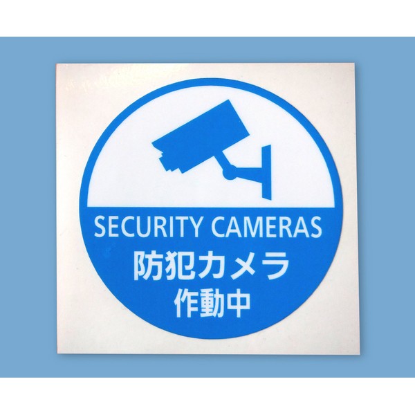 Security Stickers Set of 2 Surveillance Camera Multi-color Round Blue
