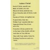 +Holy Card~"Anima Christi" *Prayer on Back (#10)--{S3}-