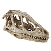 VILLFUL Unique Dinosaur Skull Model Skull Specimen Attractive Design for
