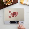Taylor 22LB High Capacity Kitchen Food Scale with Stainless Steel