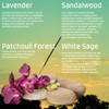 Satya Nag Champa Incense Sticks - 4 unique and premium