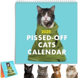 Cat Calendar 2025,2025 Wall Calendar Cats Calendar Funny,2025 Calendar Funny Calendar Planner,2025 for Home Office Cat Wall Calendar for Cat Lovers
