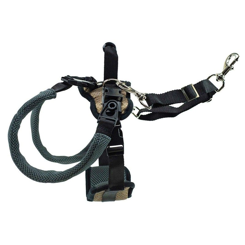 PetSafe CareLift Rear Support Harness - Lifting Aid with Handle