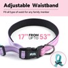 Handless Dog Leash, Adjustable Handle Bungee Leash, Hiking and Running