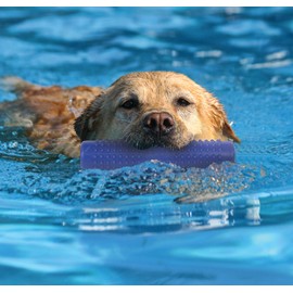 Pet Buddies PB1147 Pooch Zoober Bump N' Rolling Training/Retrieving Toy, TPR Blue Buoyant