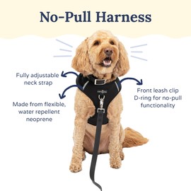Lucy & Co. The Midnight No-Pull Dog Harness – Size X-Large – Vest to Stop Pulling & Walk Easy – Comfortable Leash Training Product w/Adjustable Chest & Neck Straps