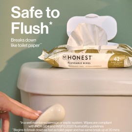 The Honest Company Flushable Wipes for Sensitive Skin | Fragrance Free, Hypoallergenic, 99% Water, Safe to Flush | Gilded Wings, 126 Count