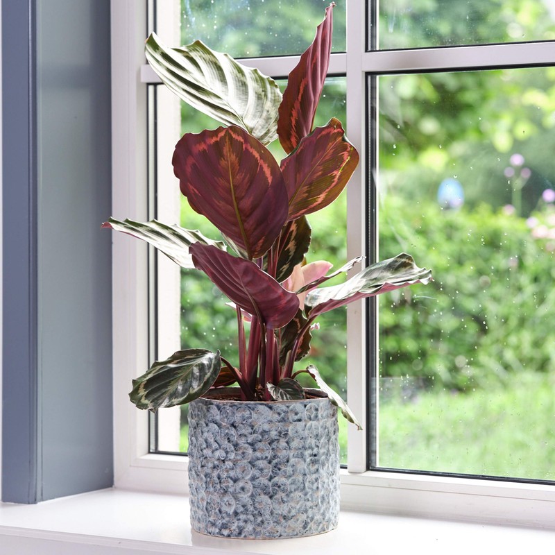 Ivyline Terni Planter Denim D14Cm H13Cm