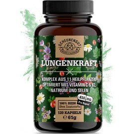 Lung Power - Lung Herb Capsules Strong - Important: Laboratory Tested 14-Way Complex with Lung Herb, Ginger, Rose Hip, Icelandic Moss, Selenium, Sage and Much More I 120 Capsules I from DE I Schunengut®
