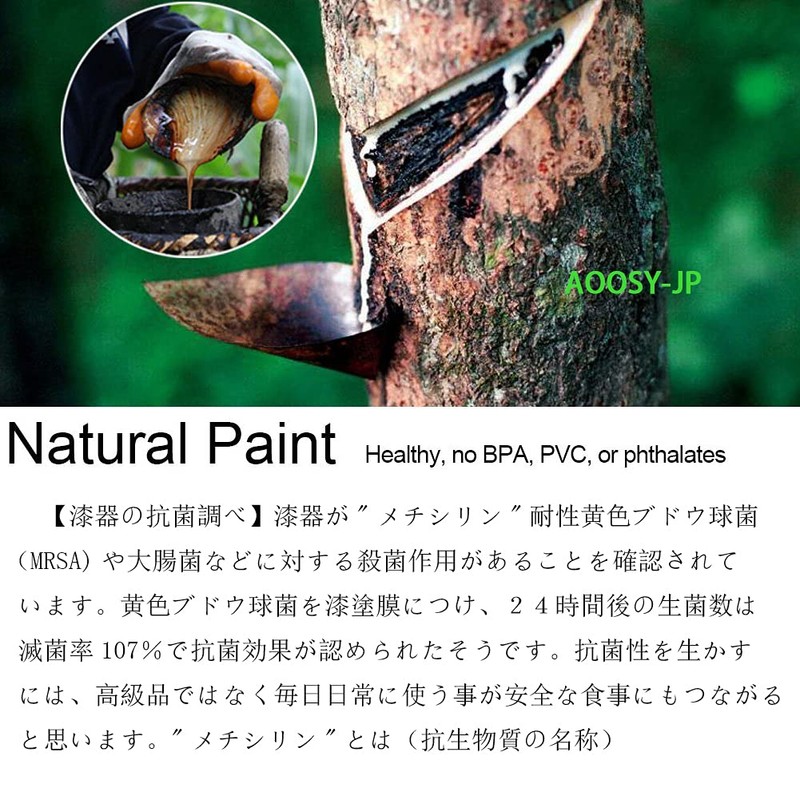 AOOSY Cutlery, Spoon, Fork, 4-Piece Set, Commuter Tableware Set, Bento