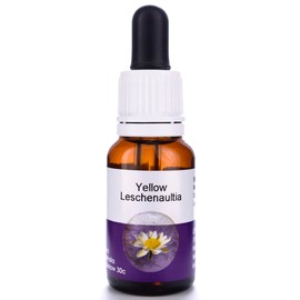 Living Essences Yellow Leschenaultia 15ml
